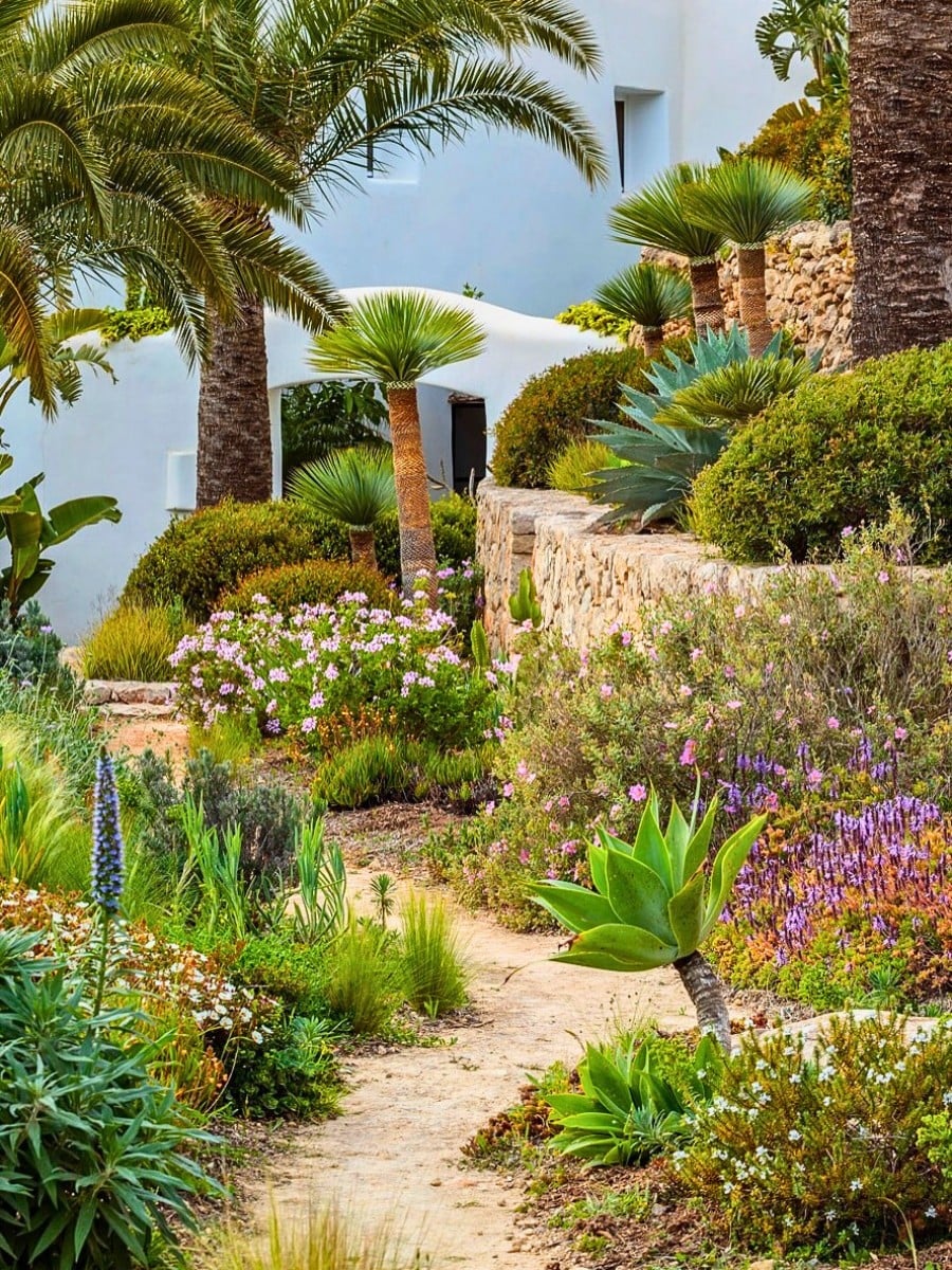 Recreate the Charm of Mediterranean Gardens into Your Home