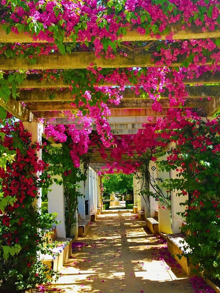 Incorporating Mediterranean Gardens Into Your Home