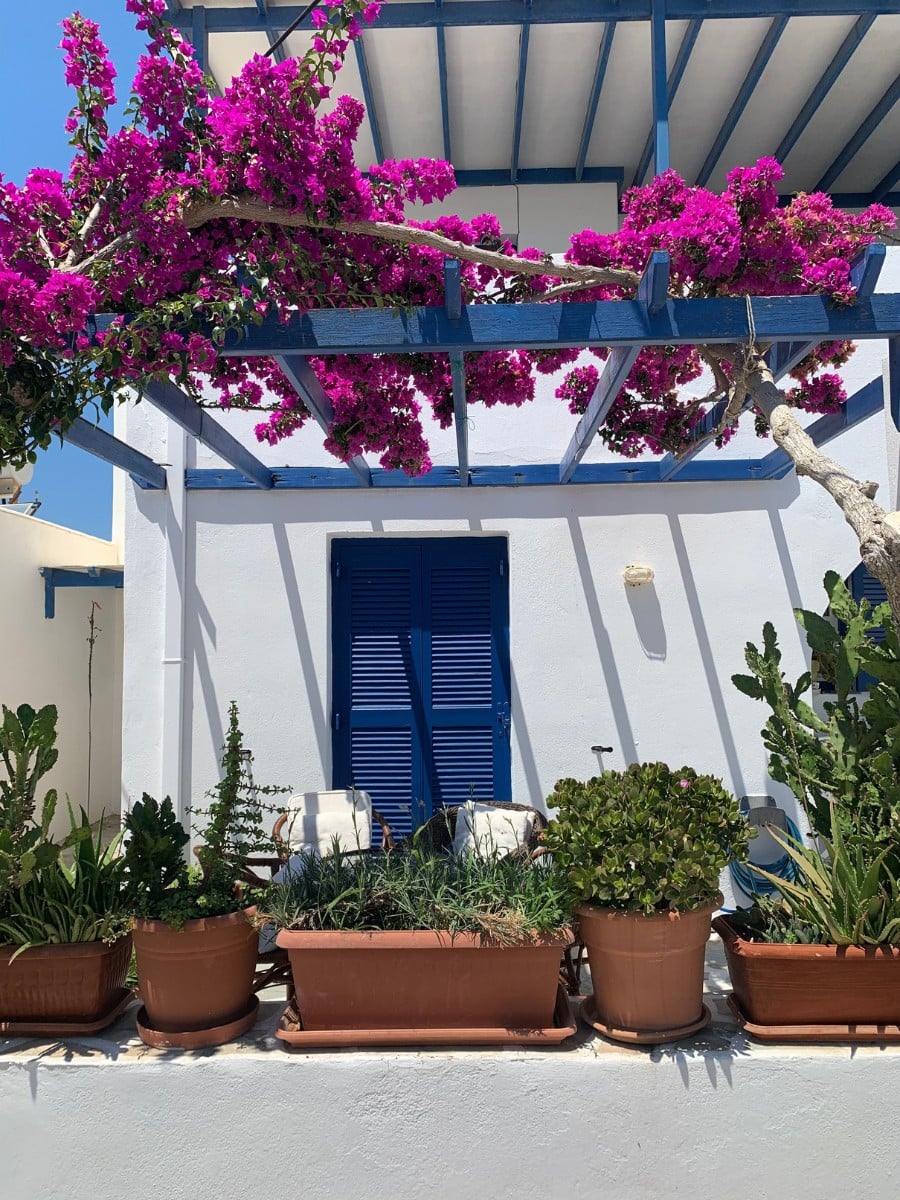 Mediterranean Gardens Recreate a Piece of an Ideal Summer Destination in Your Home