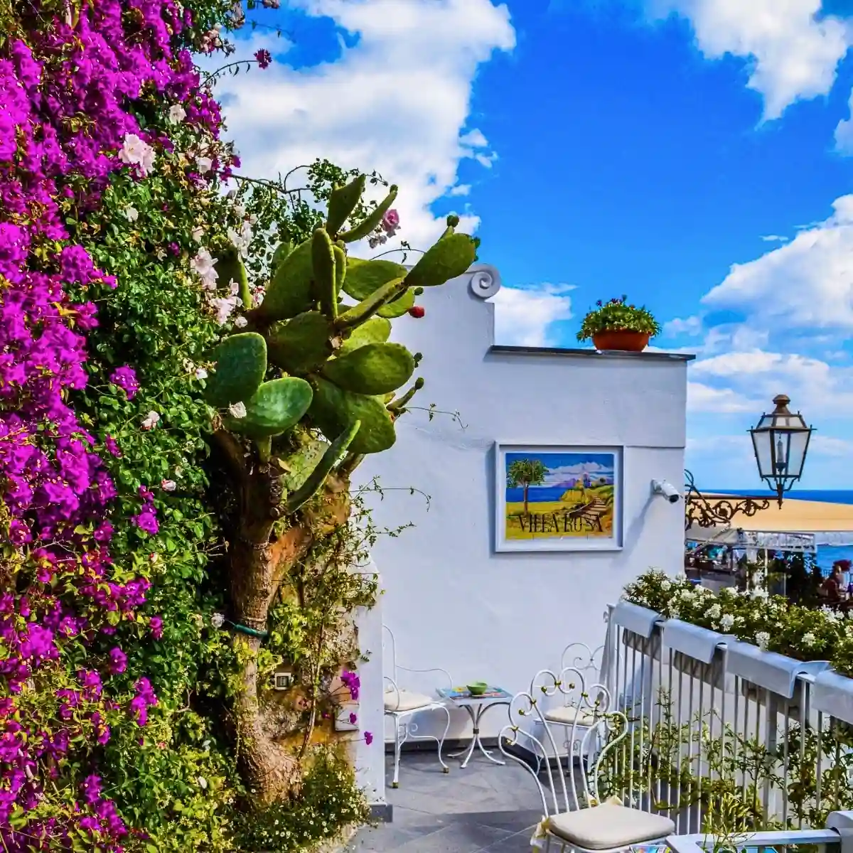 Incorporating Mediterranean Gardens Into Your Home