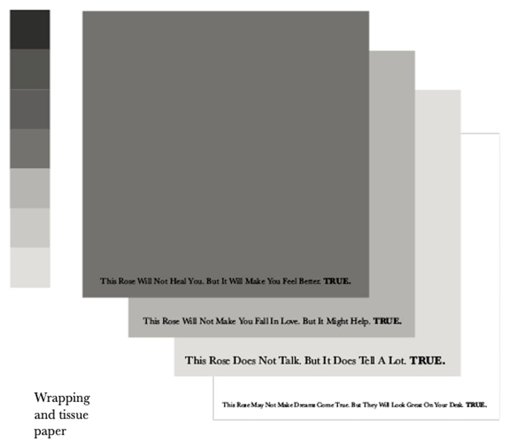 John Pouw Rose True wrapping tissue paper