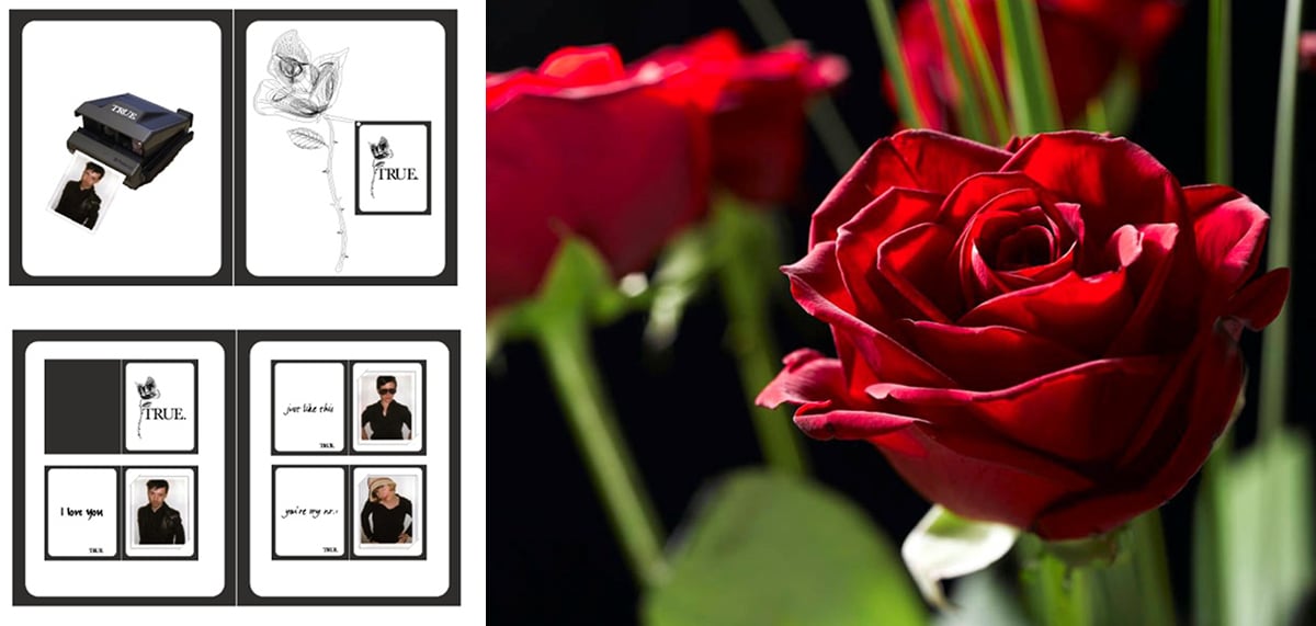 John Pouw Rose True gift card