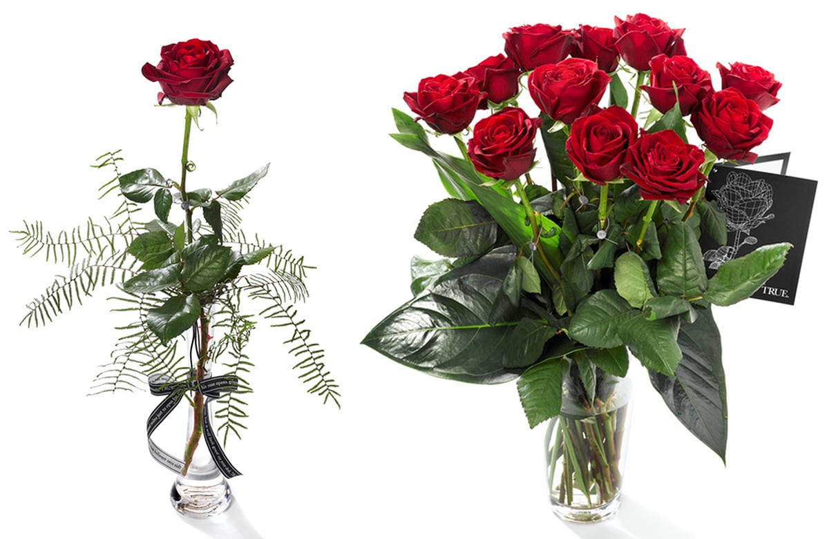 John Pouw Rose True stems and bunch