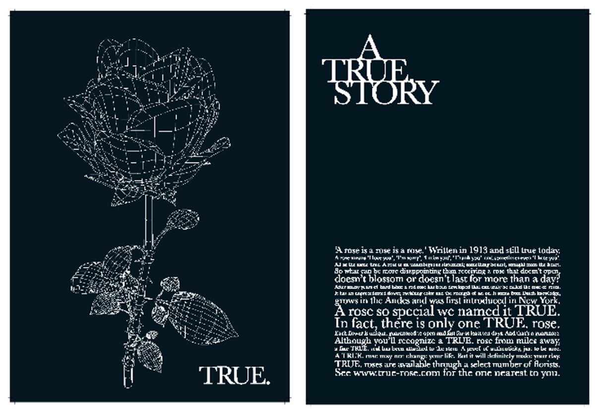 John Pouw Rose A True Story