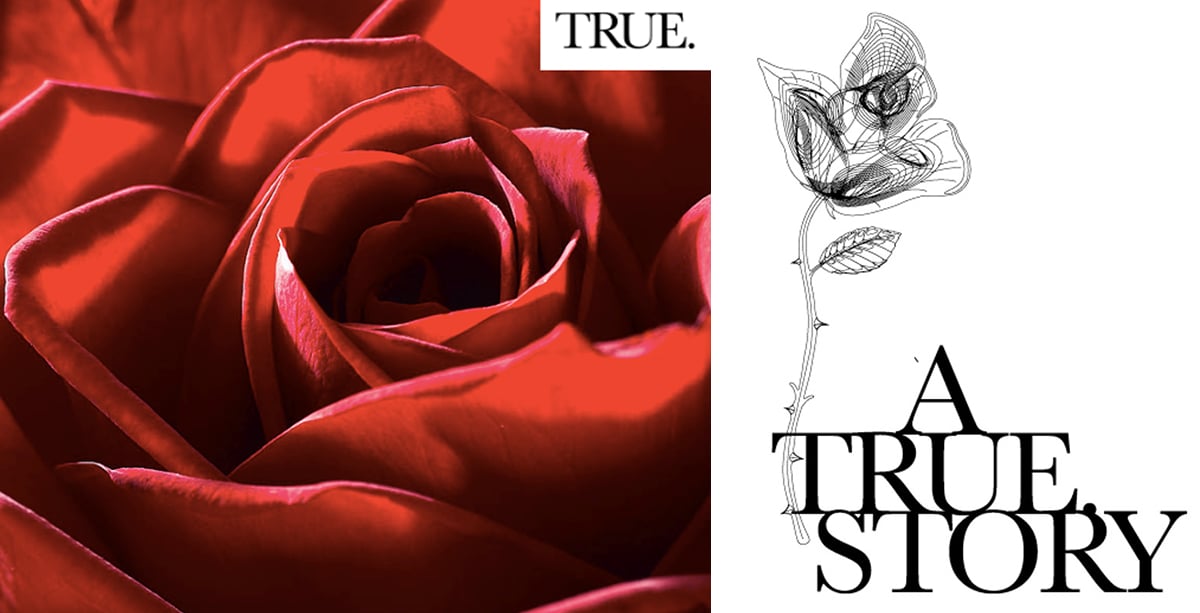 John Pouw Rose A True Story rose