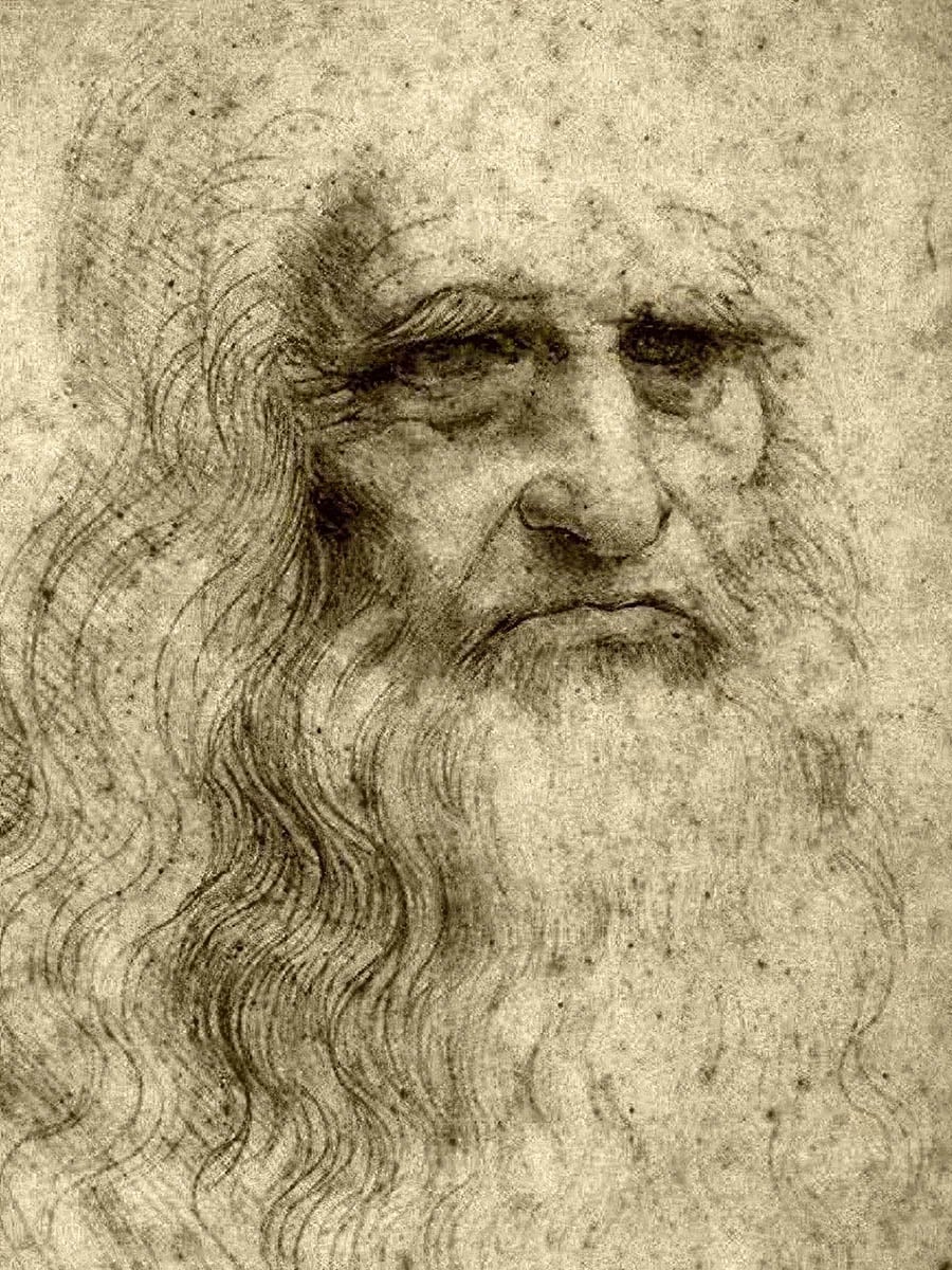 John Pouw Leonardo da Vinci