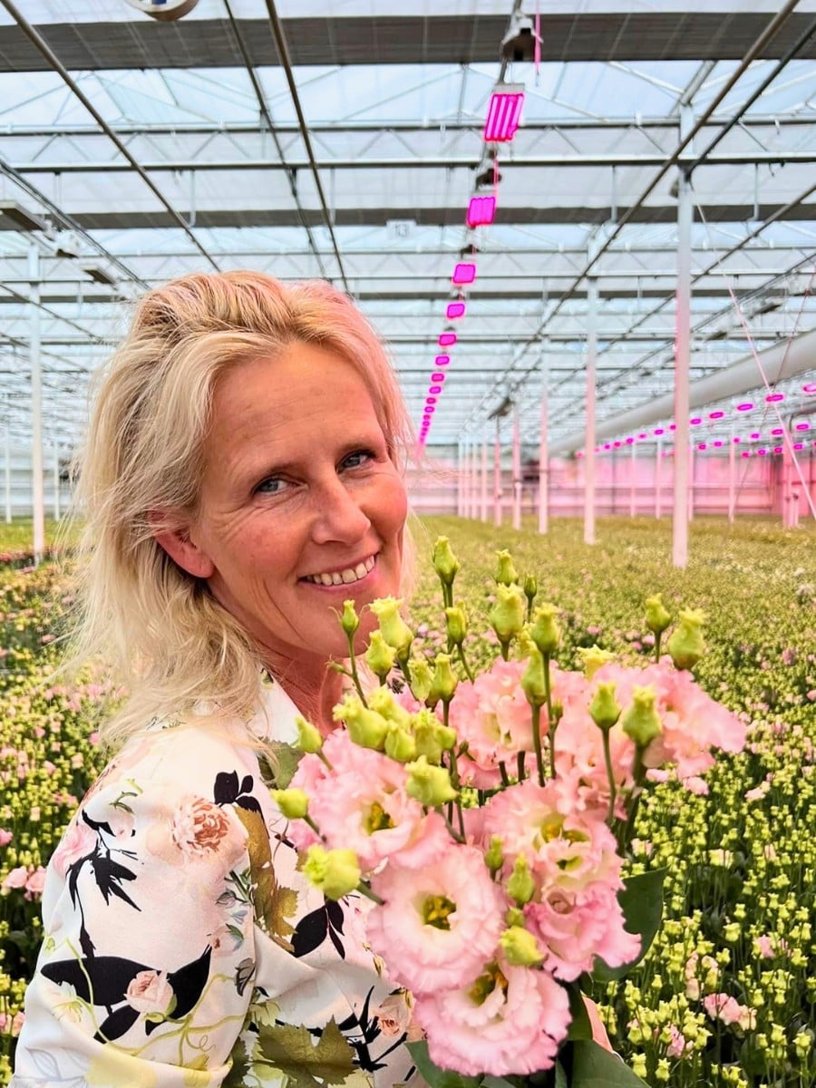 How Lisianthus Breeding Works