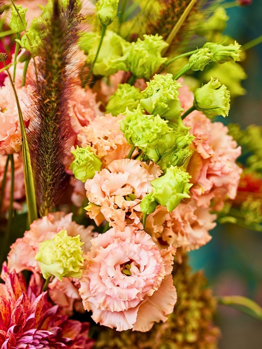How Does the Breeding of Lisianthus Work?