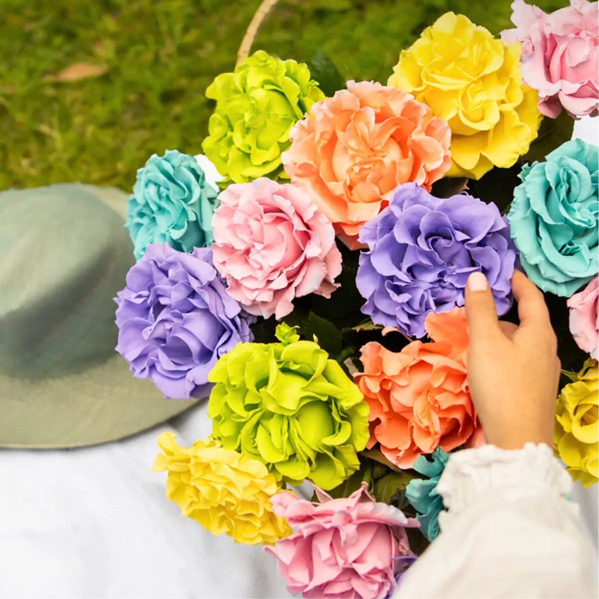 Summer tinted roses