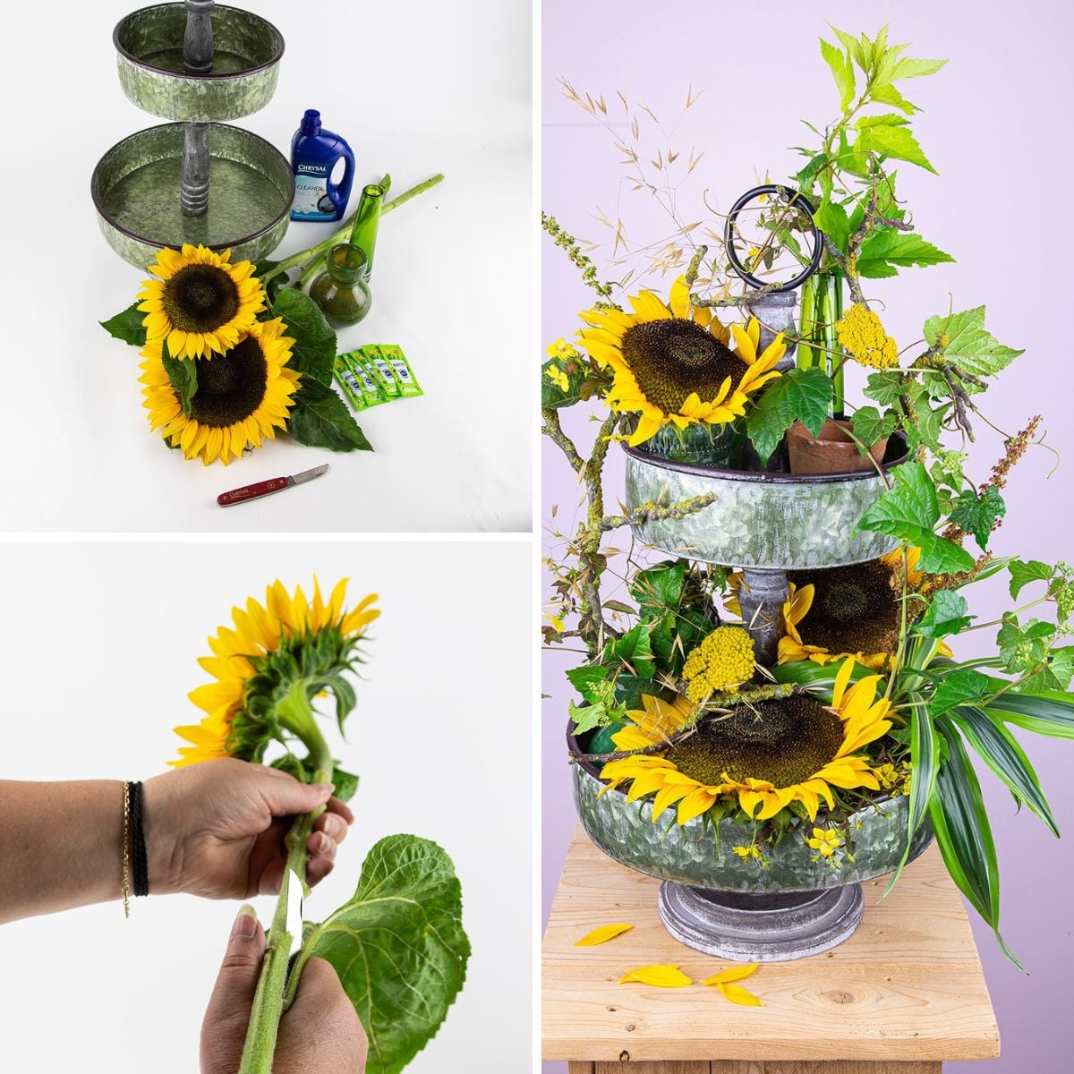 Step by step sunflower design by Chrysal