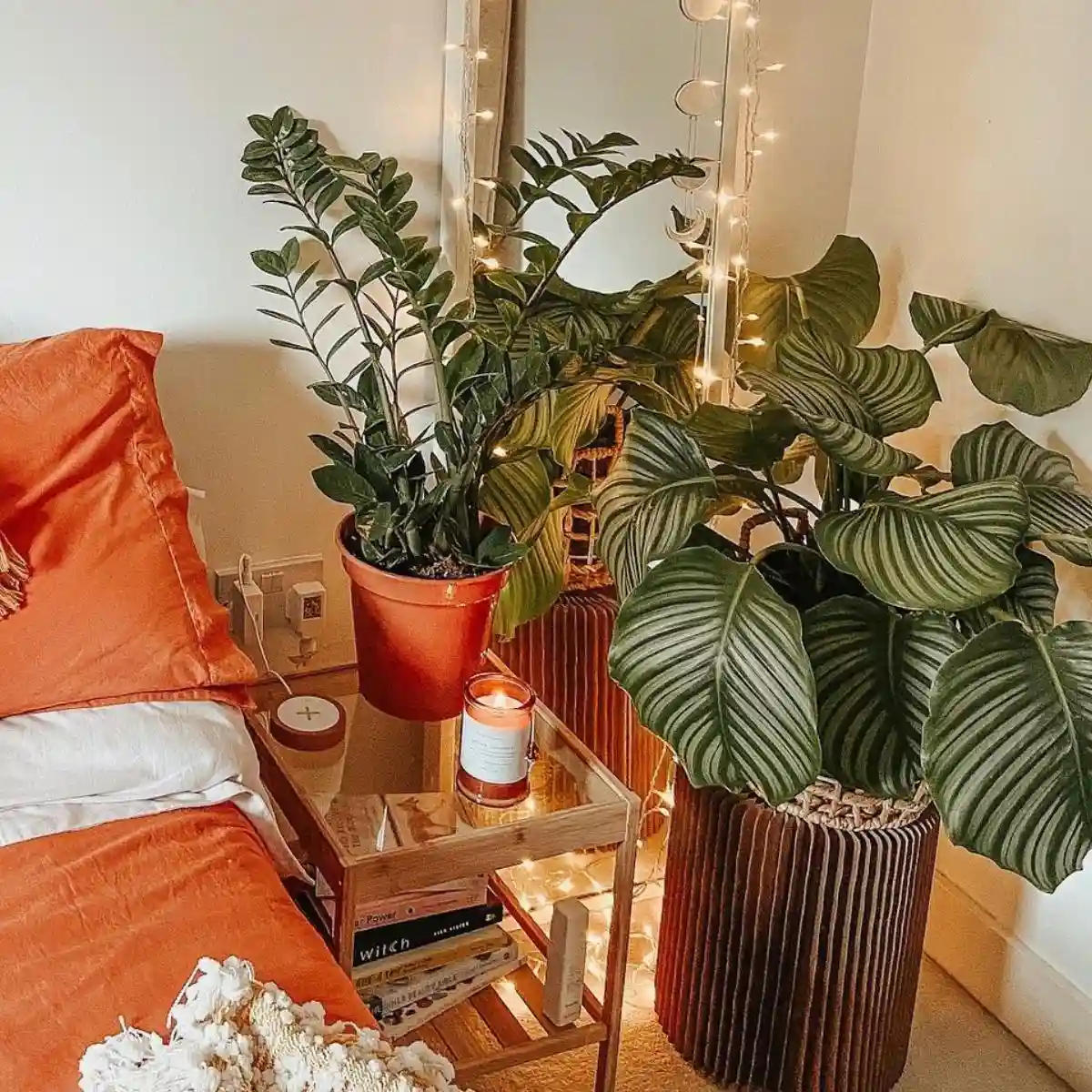 Bedroom Plant Arrangements Feature Image