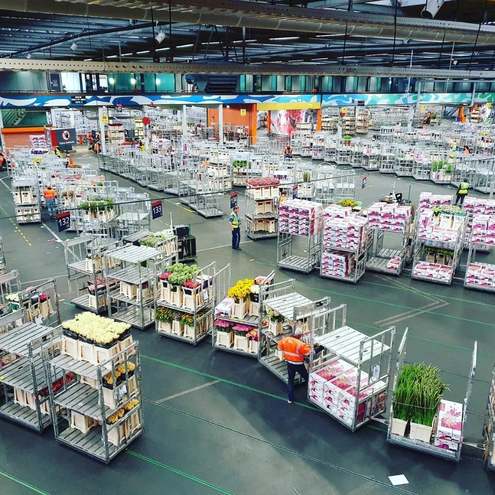 Air Freight vs. Sea Freight &ndash; Diversifying Cold Chain Logistics for Profitable Sustainability