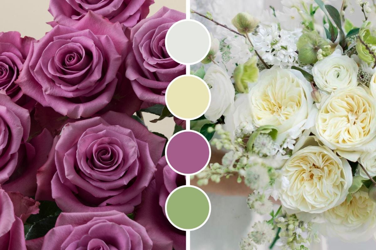 Lavender and ivory color palette