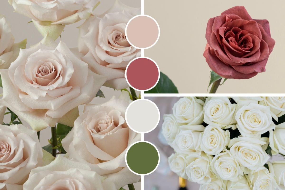 White ivory and mauve color palette