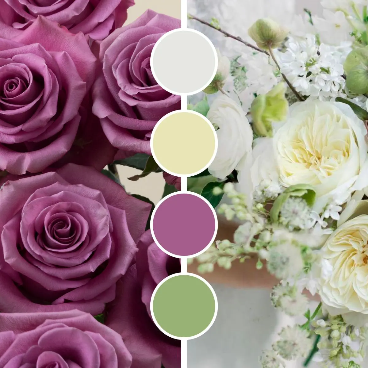 Rosaprima wedding palette