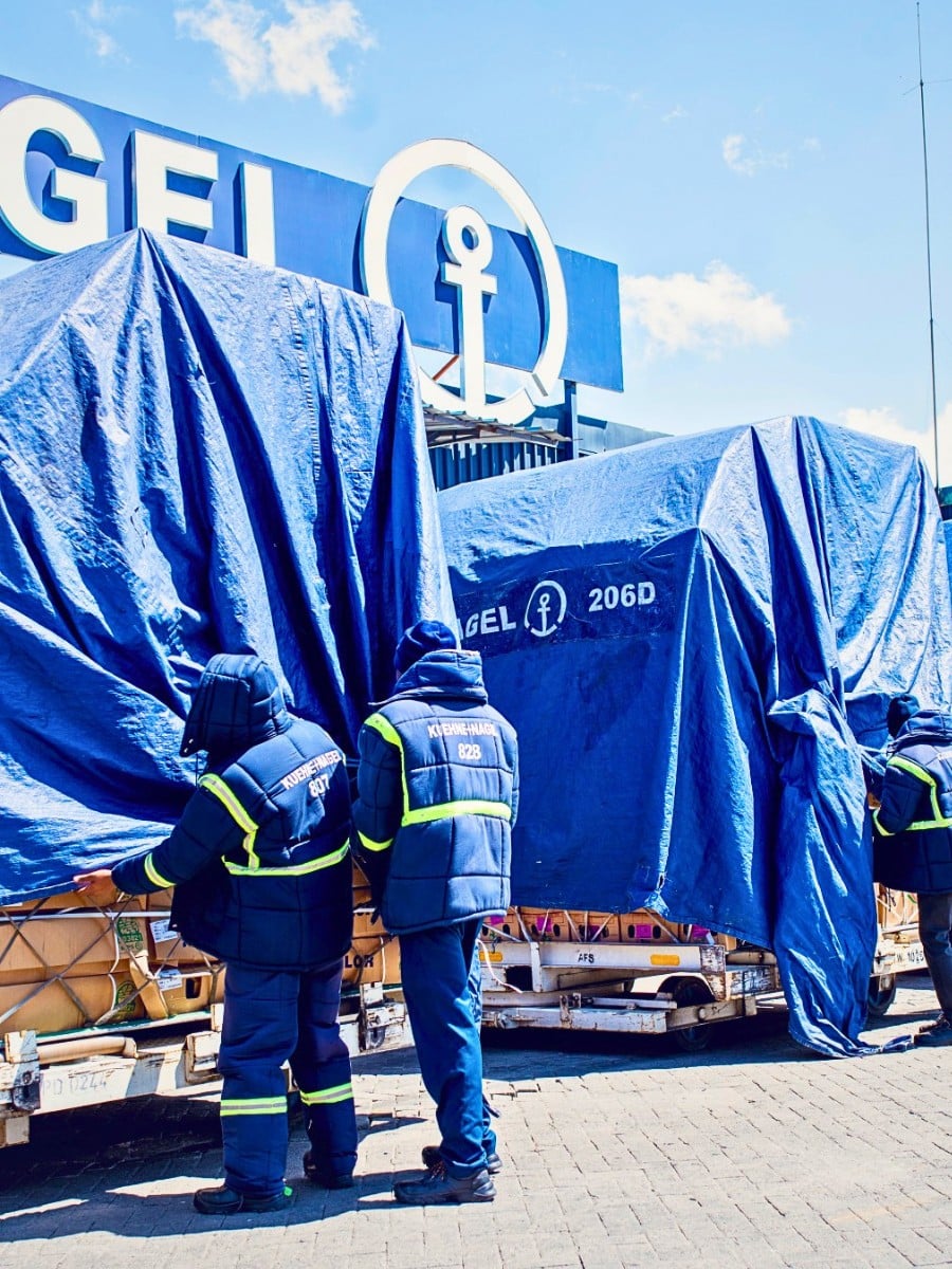 Air Freight vs. Sea Freight &ndash; Diversifying Cold Chain Logistics for Profitable Sustainability