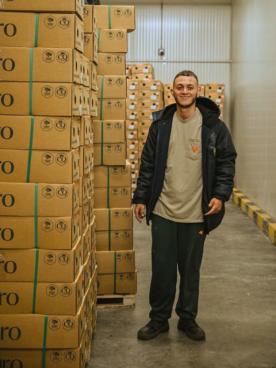 Air Freight vs. Sea Freight &ndash; Diversifying Cold Chain Logistics for Profitable Sustainability