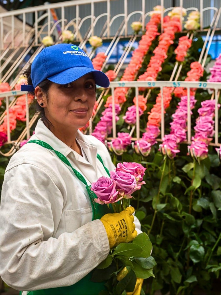 Air Freight vs. Sea Freight &ndash; Diversifying Cold Chain Logistics for Profitable Sustainability