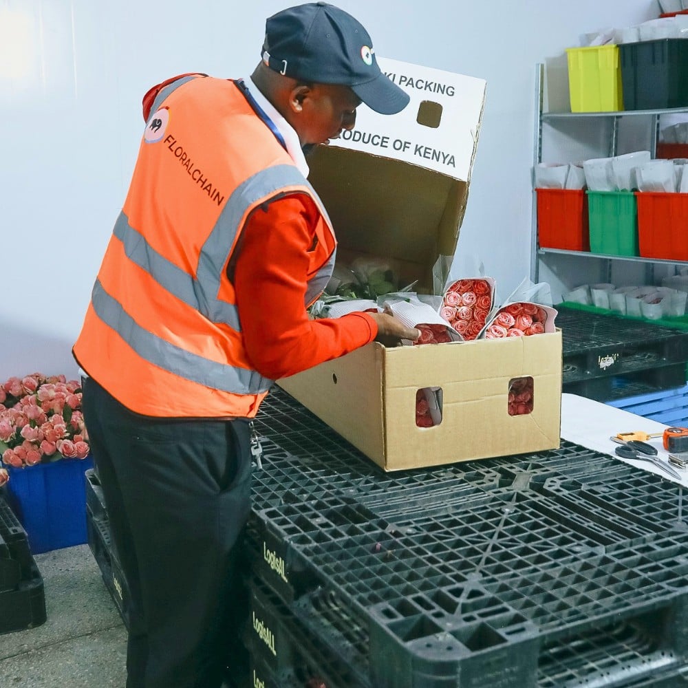 Air Freight vs. Sea Freight &ndash; Diversifying Cold Chain Logistics for Profitable Sustainability