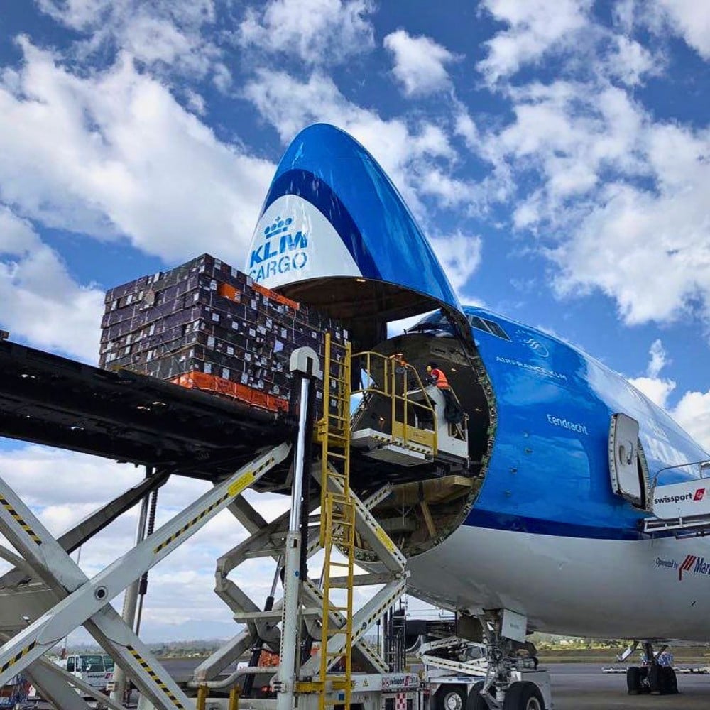 Air Freight vs. Sea Freight &ndash; Diversifying Cold Chain Logistics for Profitable Sustainability