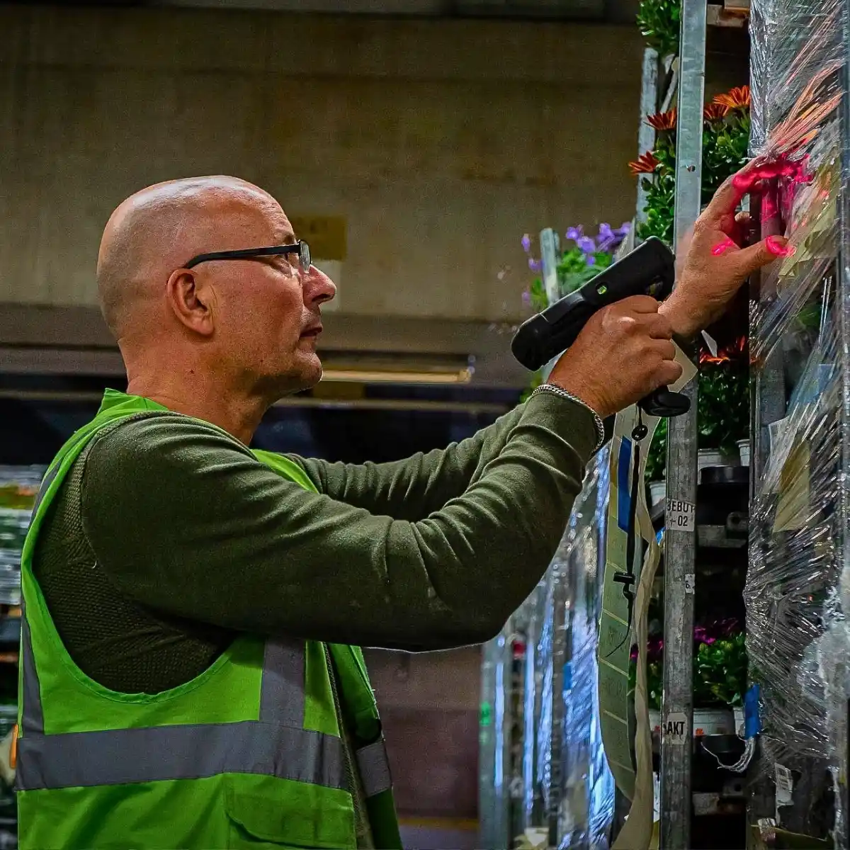 Air Freight vs. Sea Freight – Diversifying Cold Chain Logistics for Profitable Sustainability