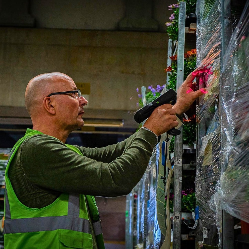 Air Freight vs. Sea Freight &ndash; Diversifying Cold Chain Logistics for Profitable Sustainability