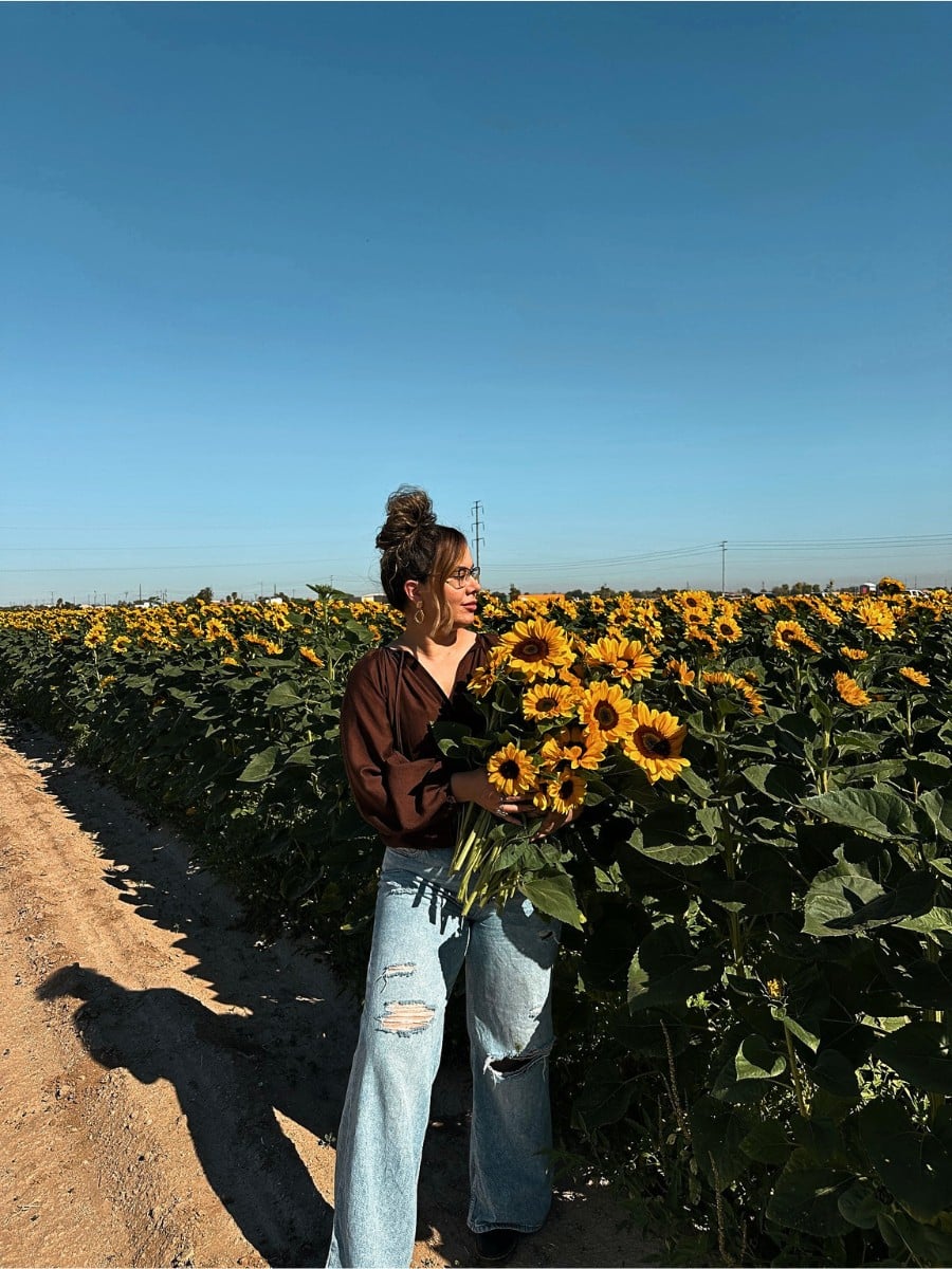 Why Are Sunflowers Associated With Happiness?