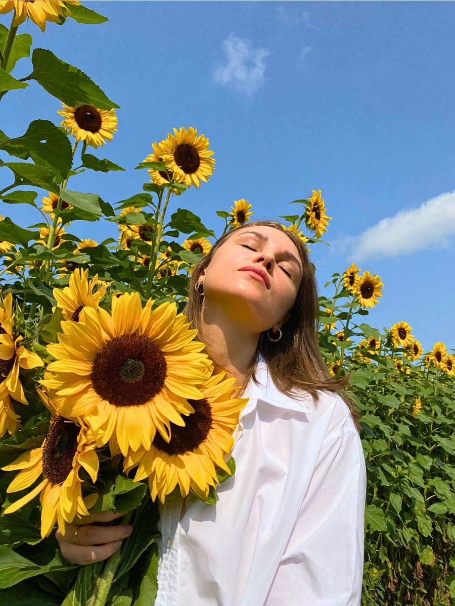 Why Are Sunflowers Associated With Happiness?