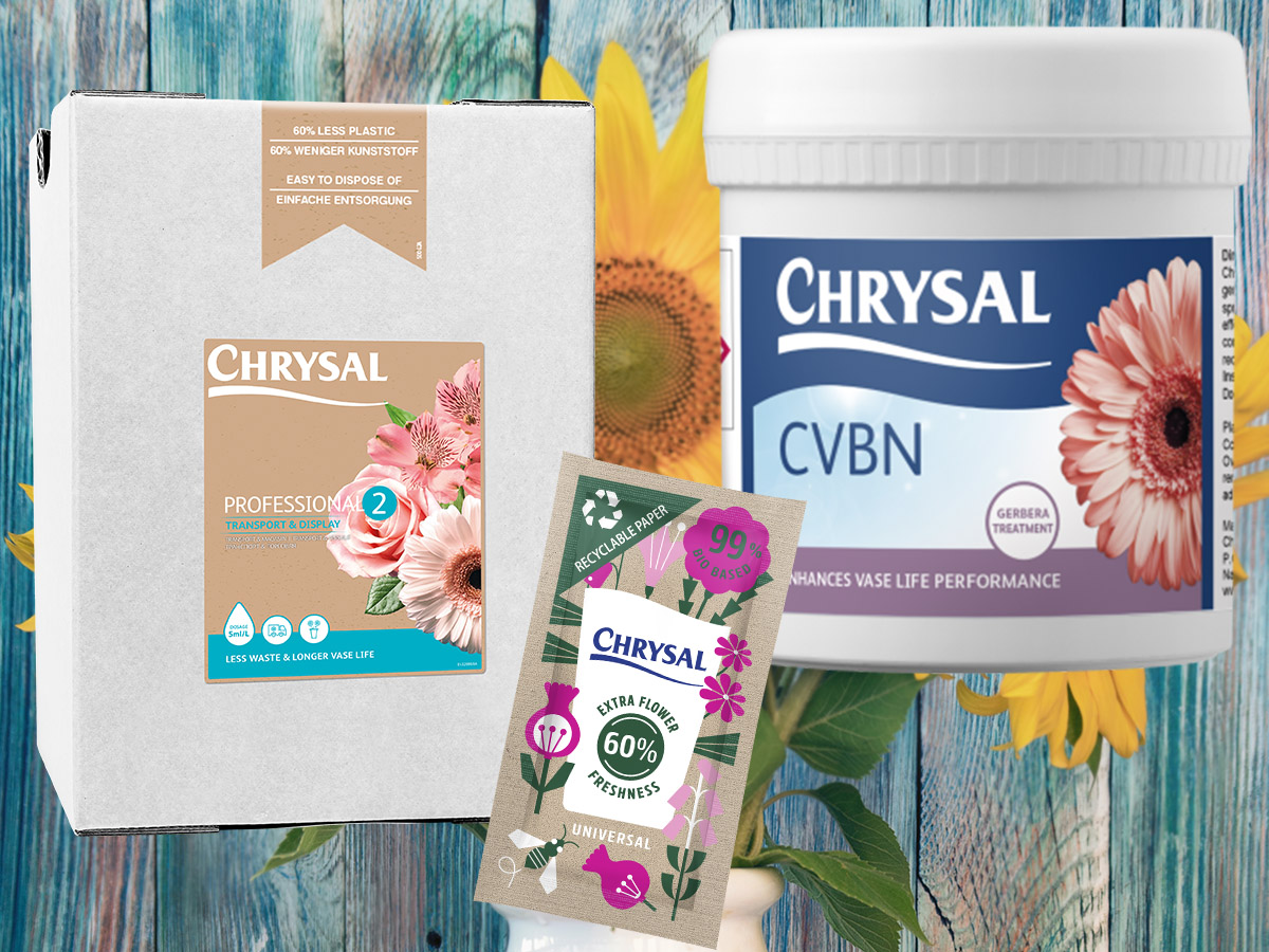 Chrysal Sunflower Solutions Growers Florists