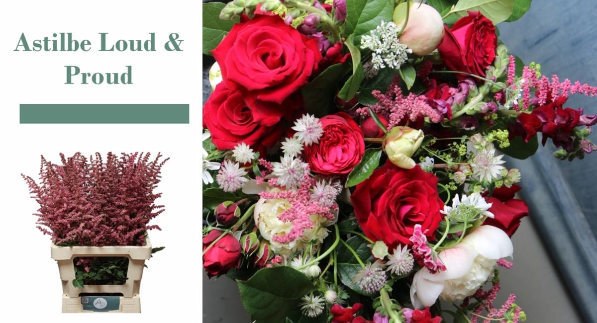 Floral design with Astilbe Loud & Proud by @clarekenwardflowers