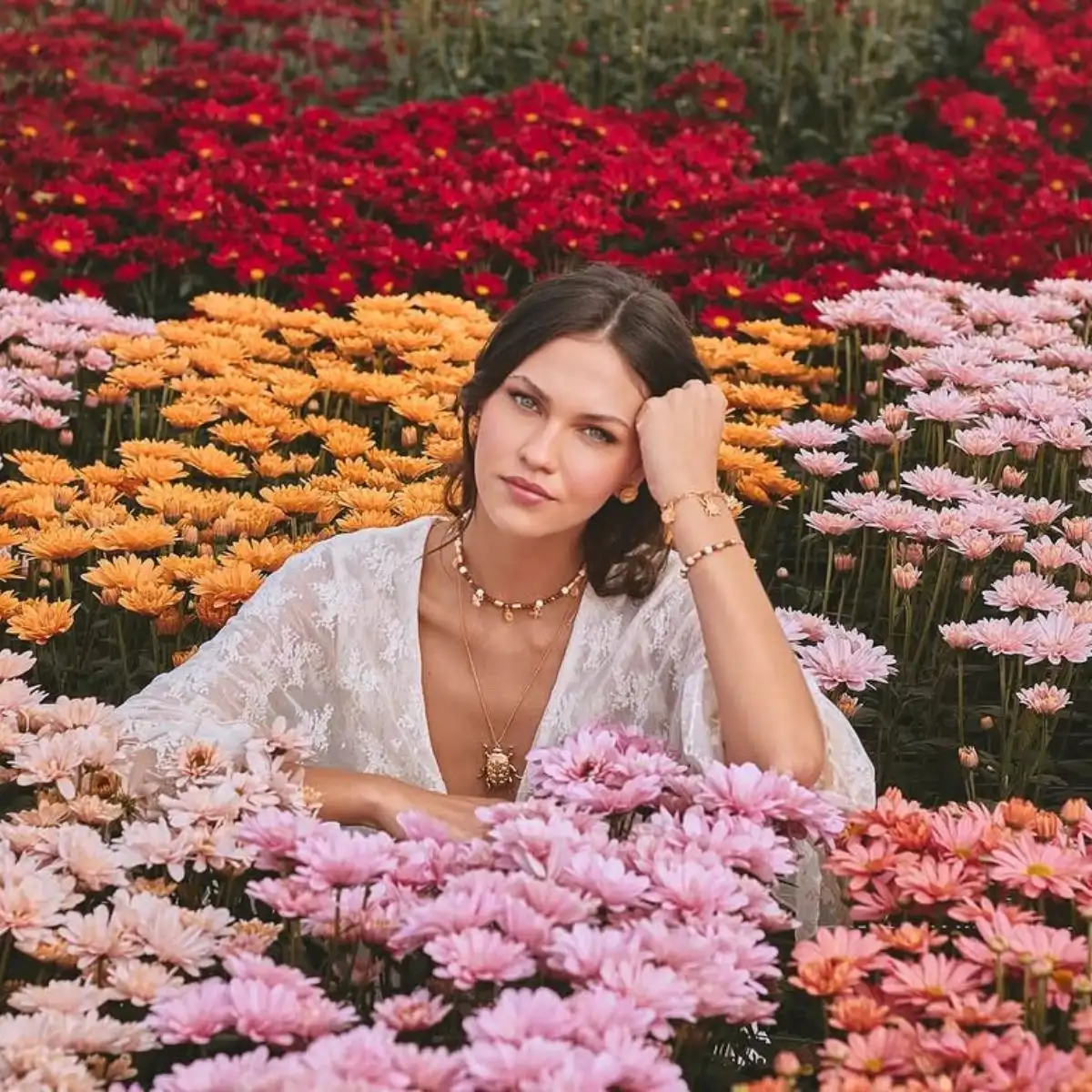 Chrysanthemum week