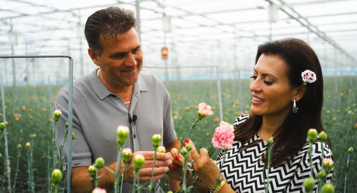 Nadia Duran by Decorum grower Divine Flowers