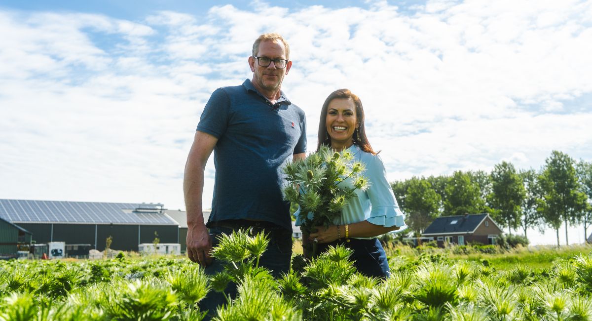 Nadia Duran by Decorum grower Kroon Flowers