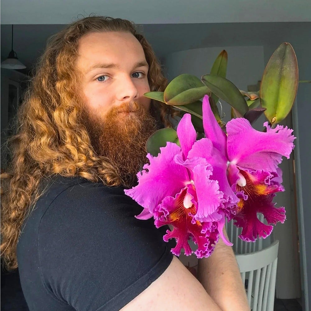 Why Are Orchids Considered Luxury Flowers?