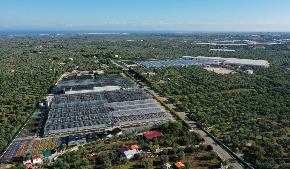 78th AIPH Annual Congress&rsquo; Professional Visits Take You Inside Italy&rsquo;s Best Nurseries