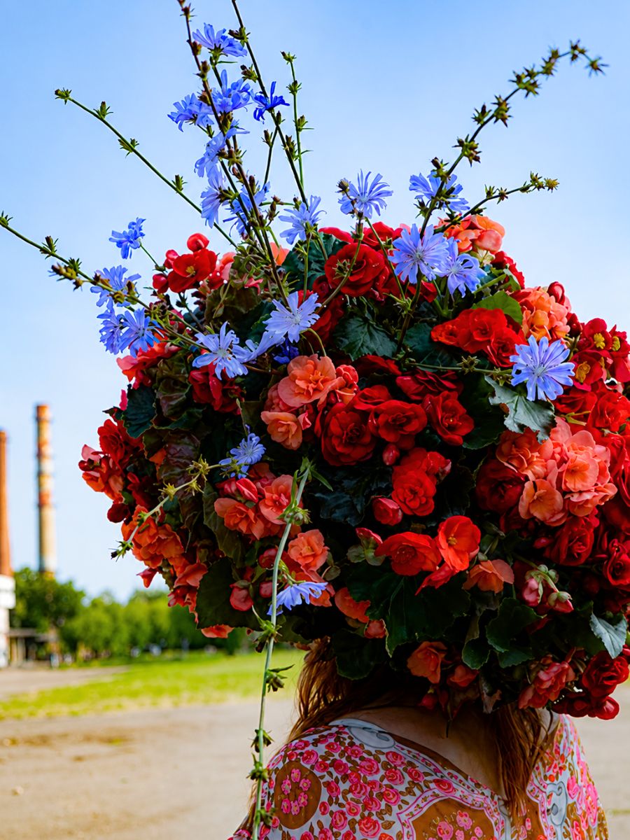 Begonia head design by Sanita Cipruse from Koppe Begonia 