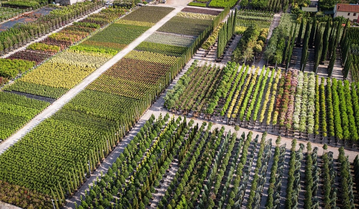 78th AIPH Annual Congress&rsquo; Professional Visits Take You Inside Italy&rsquo;s Best Nurseries