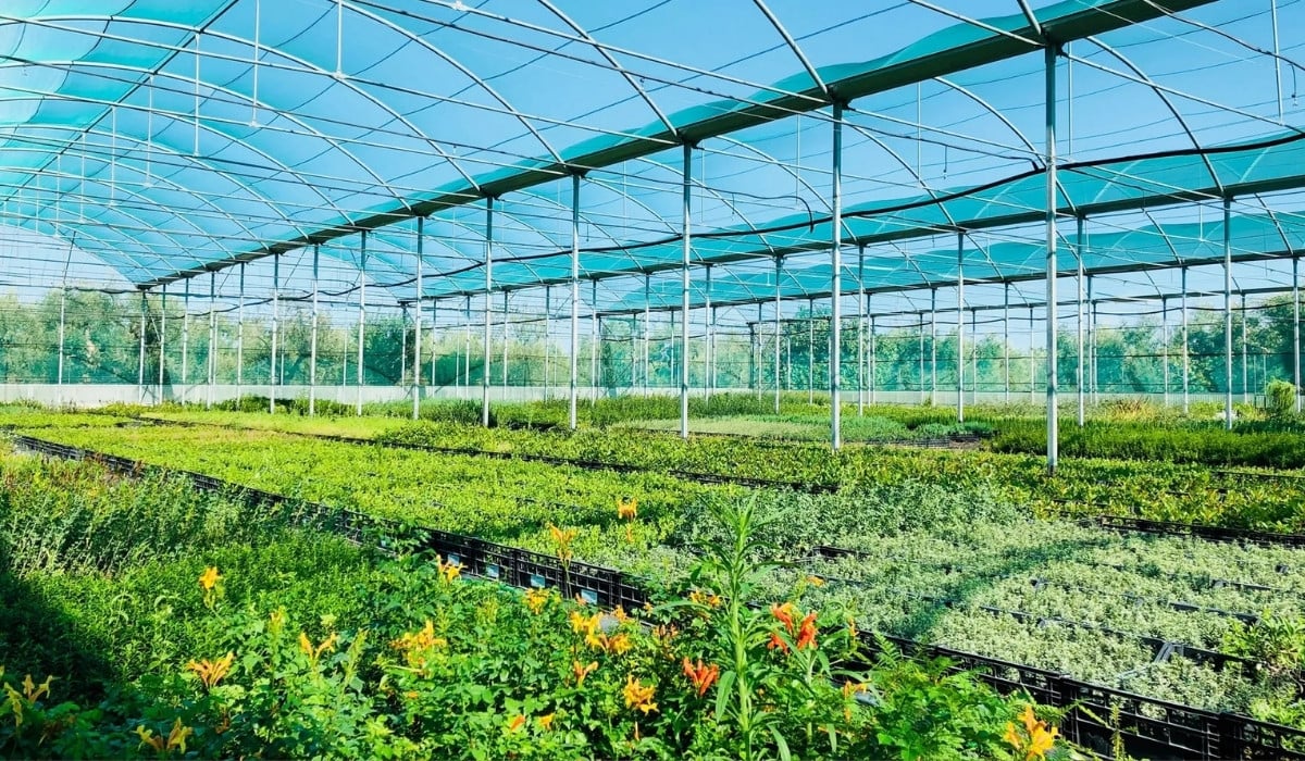 78th AIPH Annual Congress&rsquo; Professional Visits Take You Inside Italy&rsquo;s Best Nurseries