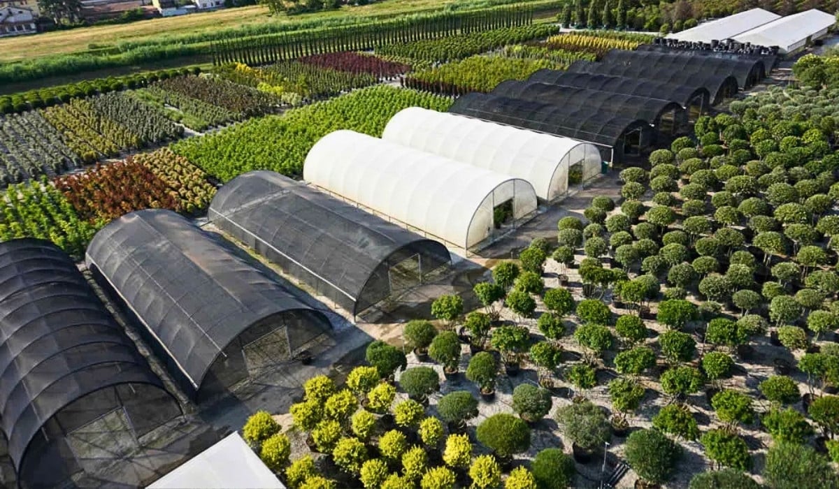 78th AIPH Annual Congress&rsquo; Professional Visits Take You Inside Italy&rsquo;s Best Nurseries