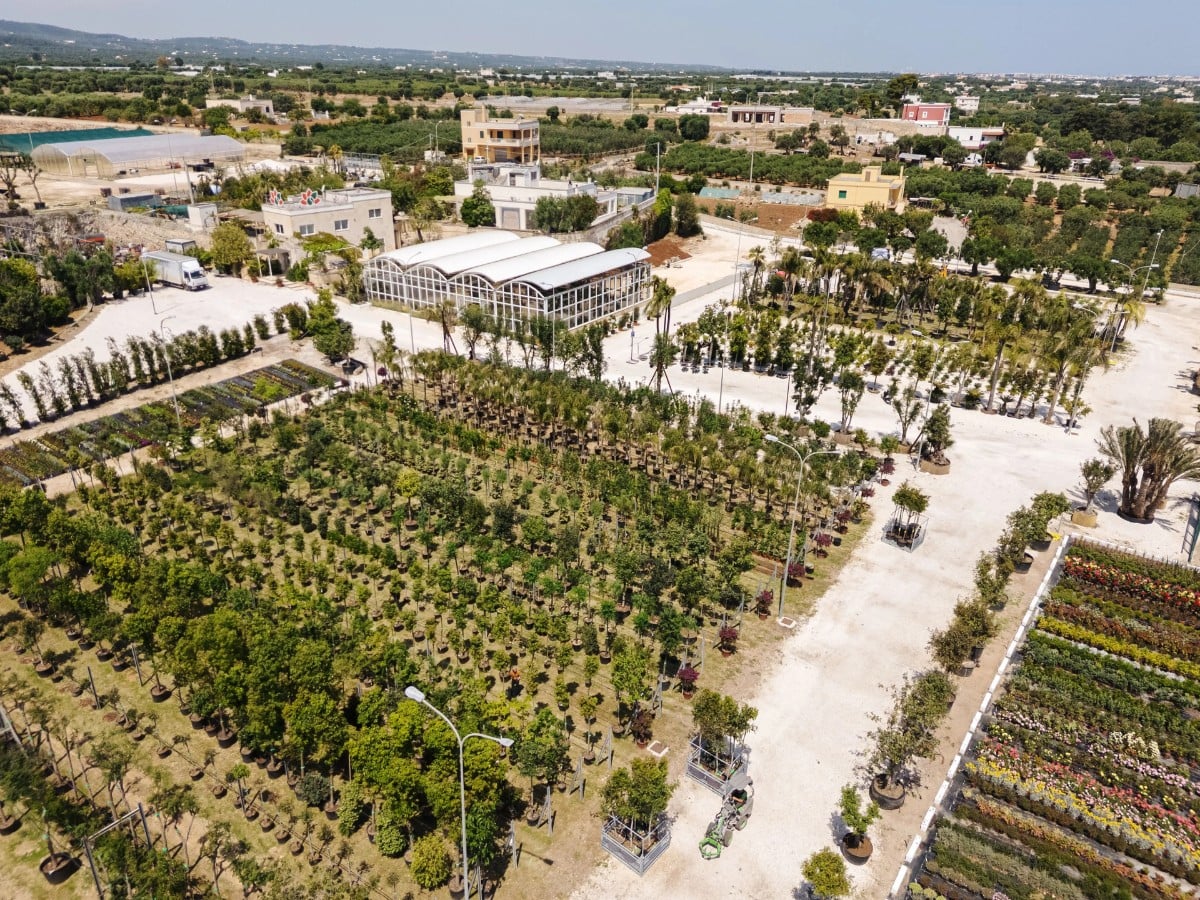 Italian horticulture 78th AIPH Annual Congress’ Professional Visits Take You Inside Italy’s Best Nurseries