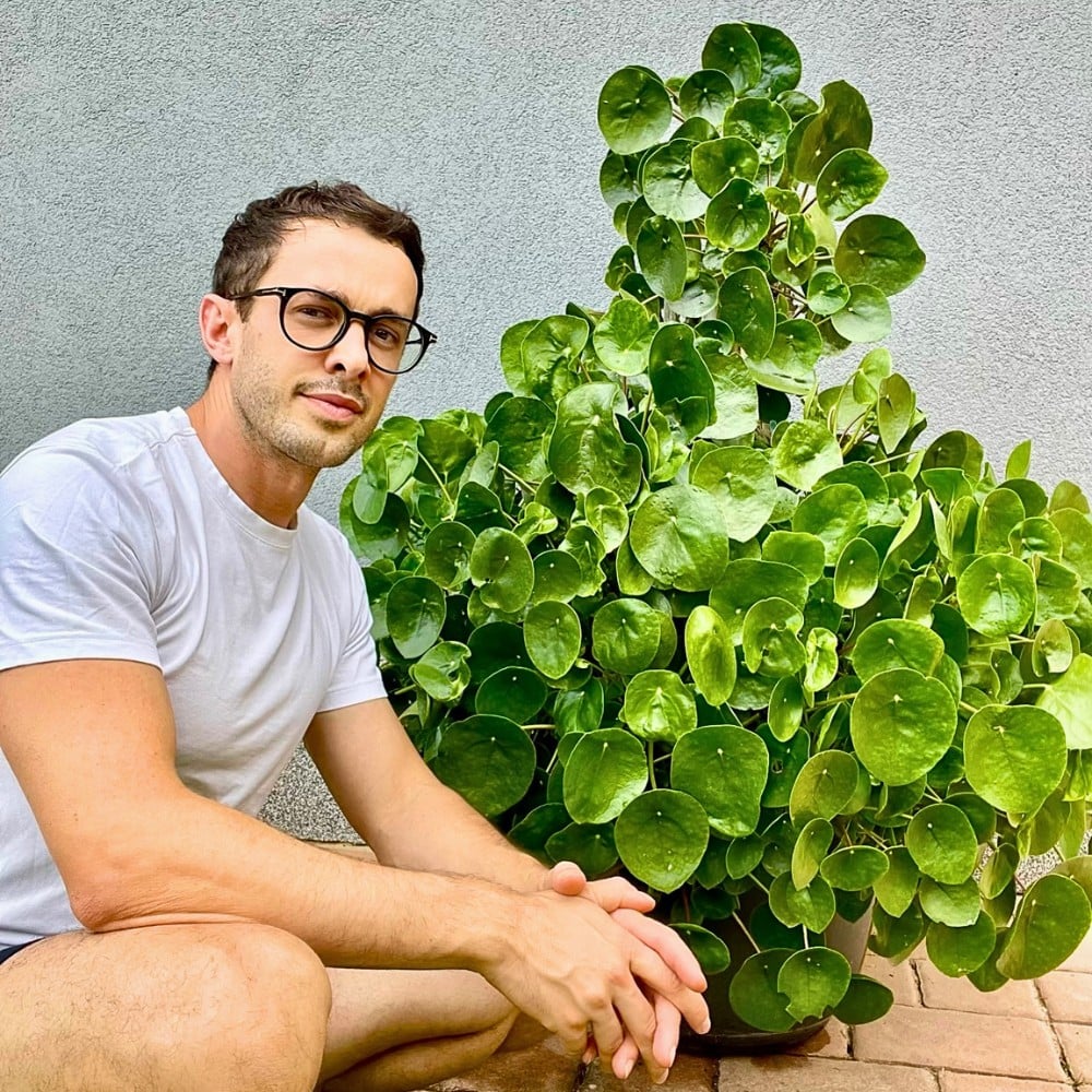 Special and Rare Houseplants to Add to the Urban Jungle in Your Home