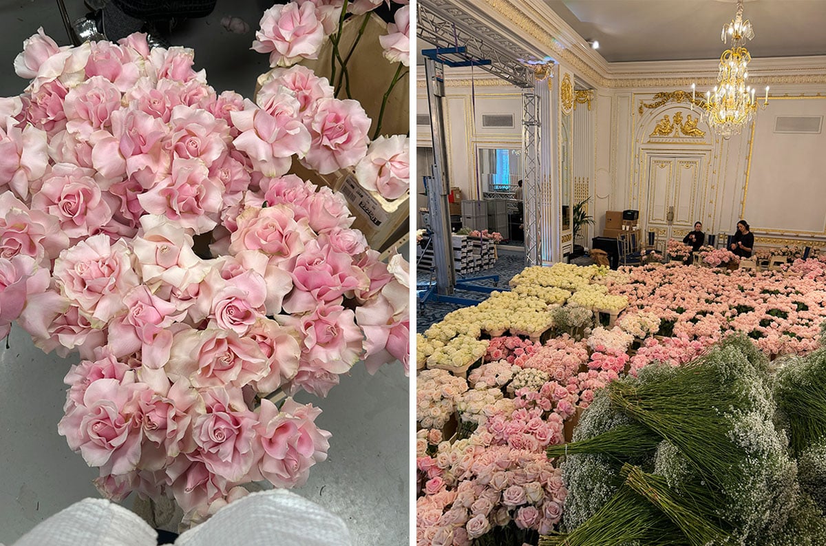 Blooming Haus Michal Kowalski Wedding roses