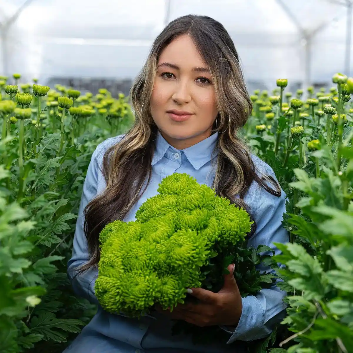 Transforming the Floral Industry Feature Image