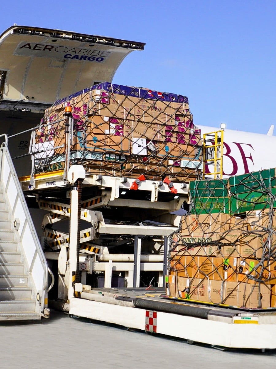 Sea Freight and Air Freight &ndash; Diversified Cold Chain Logistics for Sustainable Profitability