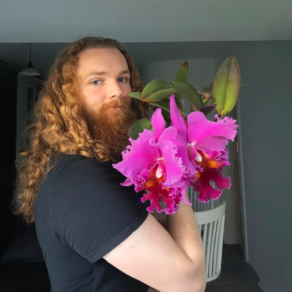 ¿Por qué se consideran las orquídeas flores de lujo?