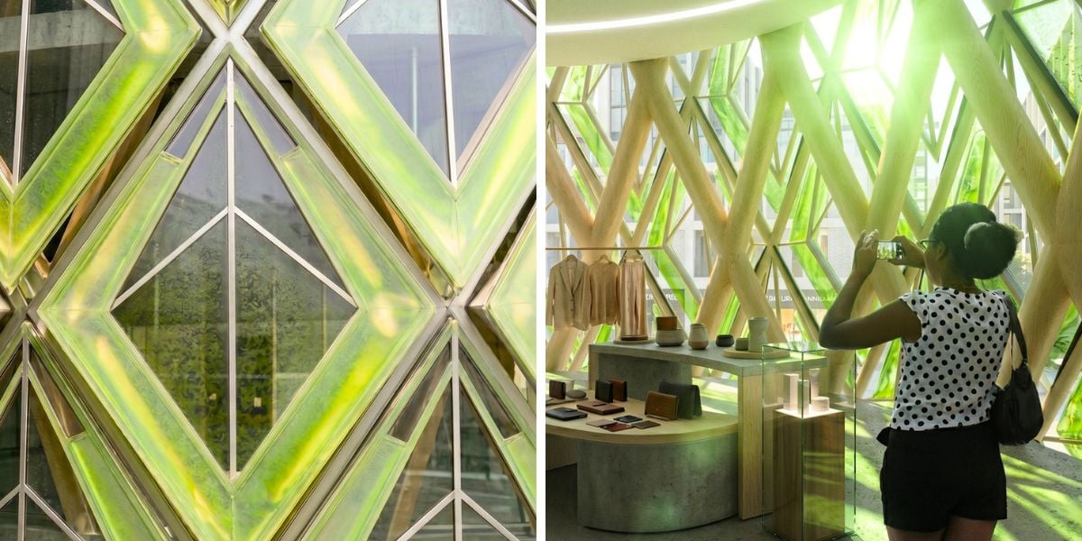 Details of the algae inside the facade