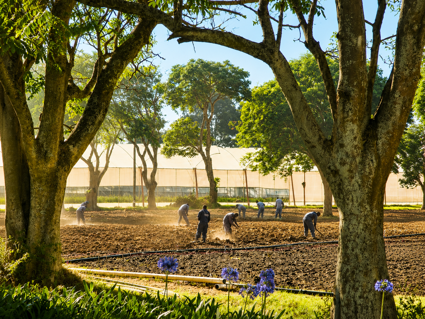 Tambuzi Boutique Farm