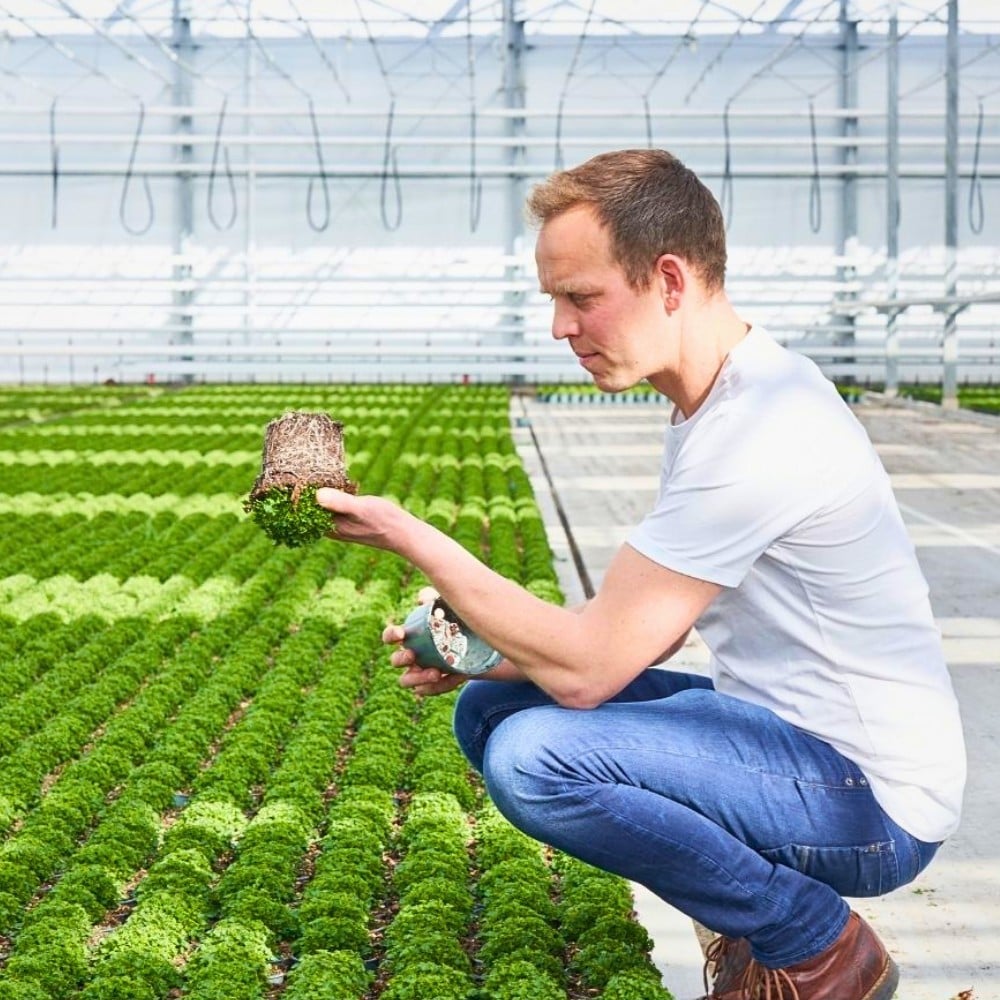 Addenda Enlists Greenhouse Sustainability&rsquo;s Expertise to Collect and Analyze Sustainability Data