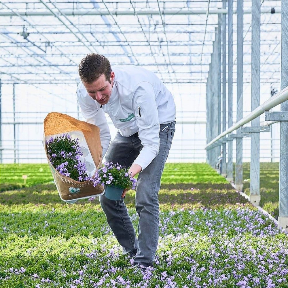 Addenda Enlists Greenhouse Sustainability&rsquo;s Expertise to Collect and Analyze Sustainability