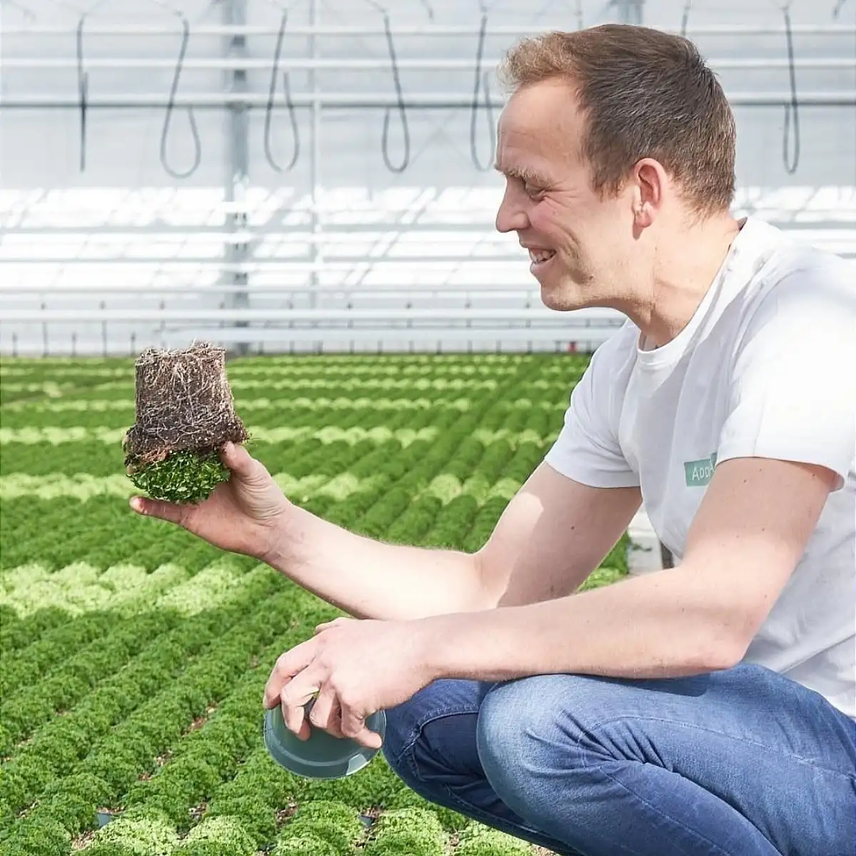 Addenda Enlists Greenhouse Sustainability’s Expertise to Collect and Analyze Sustainability Data